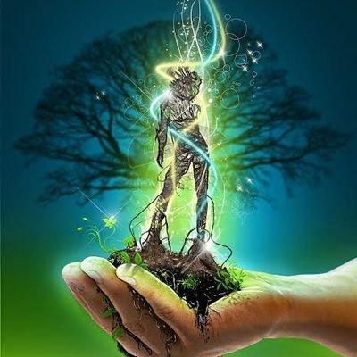 Save Earth 🌍🌎🌏
Save Soil 🏜🏝🏞
💯💯💯💯 Follow back,
If don't follow you Please DM me. 😊😊💚📩☯️