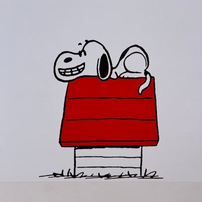 Kotonoha_mitama's profile picture. 日本語教師⸜🌷︎⸝‍日本語教師養成講座講師👩‍🏫 放デイ児童指導員📛中・高国語教員免許取得済🌹 𓂃👀行動科学、インストラクショナルデザインに興味