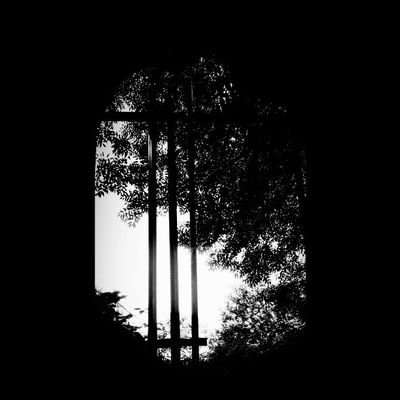 Buy my shite!
https://t.co/W1FZ7LIlF8
also vox in Uncultivates and bass and vox in @lowviolent