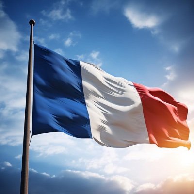 Fier d'être Français, fier ne notre histoire, de notre culture. comme de nombreux Français aujourd'hui je souhaite la fin de l'immigration massive et incontrôlé