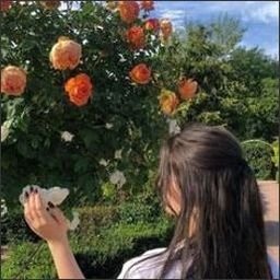 NoushairzPYEbZ's profile picture. 