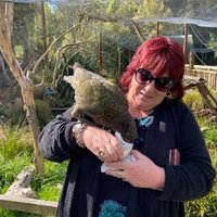 Jan Renwick (@nettieg3) 's Twitter Profile