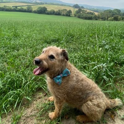 JosieNorco79407's profile picture. 