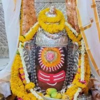 Ladsingh bakodiya (@lbakodiya) 's Twitter Profile Photo Ladsingh bakodiya (@lbakodiya) 's Twitter Profile Photo