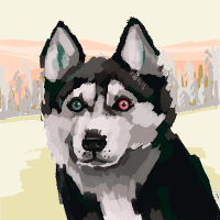 Bucea Cosmin (@cosminbuce17097) 's Twitter Profile