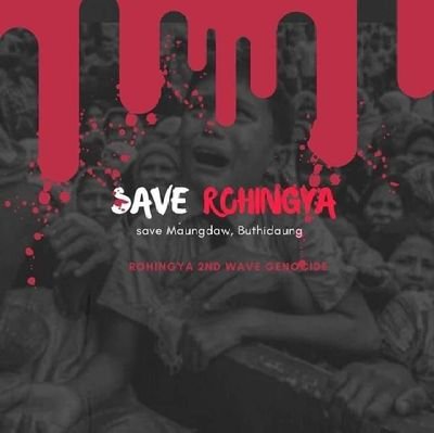 Muhamme62635732's profile picture. I am Muhammed Omair.
I am from Myanmar.I live in Bangladesh.