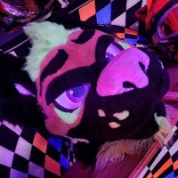 ZIGGY-AD🔜TFF (@teddywoofington) 's Twitter Profile Photo ZIGGY-AD🔜TFF (@teddywoofington) 's Twitter Profile Photo