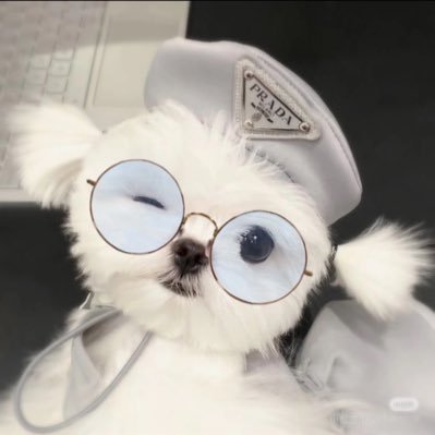 じゃがいもちゃんさんのプロフィール画像