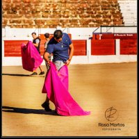 Jose Luis (@iamnotjoseluis) 's Twitter Profile Photo Jose Luis (@iamnotjoseluis) 's Twitter Profile Photo