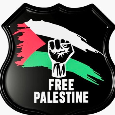 sulejman1983's profile picture. 