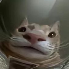 kalstroy's profile picture. 