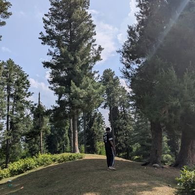 ar5ha_d's profile picture. Exploring Blockchain & Smart Contracts