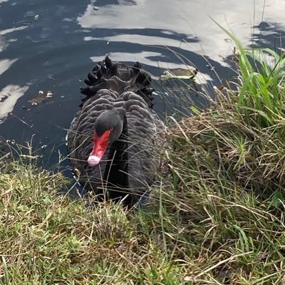 xyztracey's profile picture. ftrtts pwbf NOT IN MY NAME