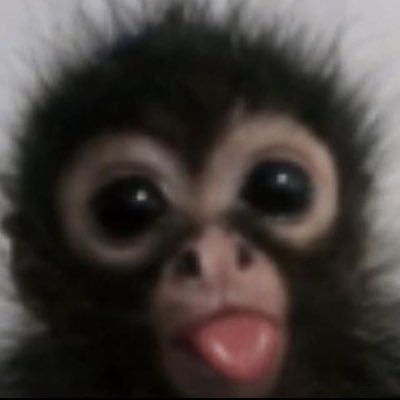 @dukiSSJ @germanusinger