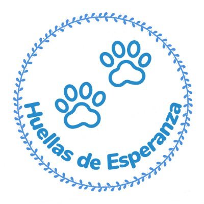 “Unidos por los que no tienen voz.”
Transformando vidas con cada huella
Organización sin fines de lucro