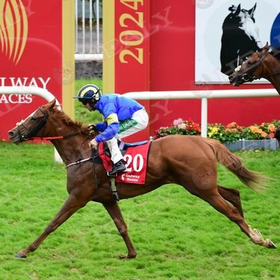 CK92952462's profile picture. My Love For Compliance