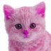Lau ฅ^•ﻌ•^ฅ (@laulalokita) Twitter profile photo Lau ฅ^•ﻌ•^ฅ (@laulalokita) Twitter profile photo