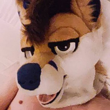 Twink Fox • 27 •♂️• He/Him/Hole • Pan • Switch/Vers. • Just a very affectionate foxy • Femboy-ish • Single • Age in bio please, unless I know you! (18+)