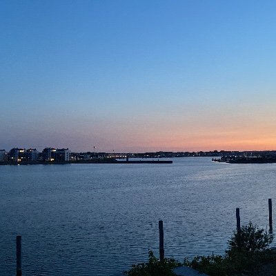 bjoern_bjrn's profile picture. 