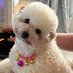 SIDOGS(✸,✸) (@nhatvo49) Twitter profile photo SIDOGS(✸,✸) (@nhatvo49) Twitter profile photo