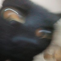 •a• (@aarittzz) 's Twitter Profile