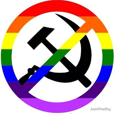 39yo they/them | USSR-born| Anti-communism | Anti-wokeness | Pro-Israel 🇮🇱 |Pro-Ukrainian 🇺🇦| Neo-pronouns & xeno-gnders welcomed Hamms supports are not