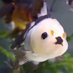 AGEN (@agen57795811) Twitter profile photo AGEN (@agen57795811) Twitter profile photo