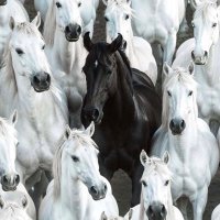 Stefy (@liuzzi_ste65951) 's Twitter Profile Photo Stefy (@liuzzi_ste65951) 's Twitter Profile Photo