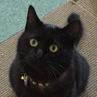 グリさんのプロフィール画像