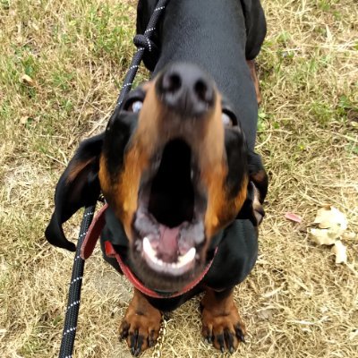 luxy208's profile picture. 
