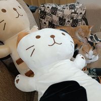 lissi (@lisitadeyatra) 's Twitter Profile