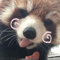 slow 빈 (@yongbok11_) 's Twitter Profile