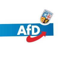 AfD Saarland (@afdsaar) Twitter profile photo