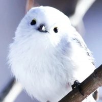 職場うんち (@k_special_needs) 's Twitter Profile
