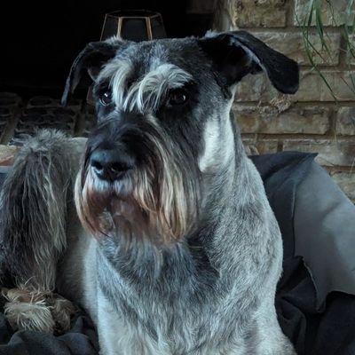 whaty74's profile picture. Husband, dad, football fan, COYS! Coach @stivestownfc EJA. Novice NFL fan, Go Bucs. All views are my own.