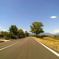 se proprio insisti? (@raffyscy) 's Twitter Profile