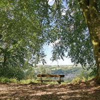 Al (@pickupalistair) 's Twitter Profile