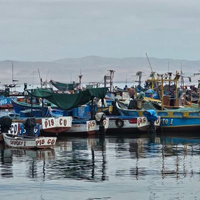 carsochu_'s profile picture. Mis pasiones: la política, el derecho, el cine, la libertad.
