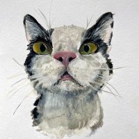Stephanie Stamm (@sestamm) 's Twitter Profile