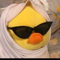 H E B A (@hebaelshirbiny3) 's Twitter Profile