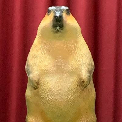 marmota_robin's profile picture. 