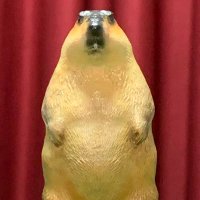 マーモット・ロビン (@marmota_robin) 's Twitter Profile Photo マーモット・ロビン (@marmota_robin) 's Twitter Profile Photo