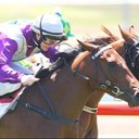 Danielle Smith - @evotbreds - Twitter