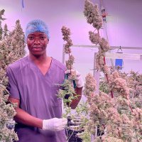 GrowPro-za (@growproza) 's Twitter Profile Photo GrowPro-za (@growproza) 's Twitter Profile Photo
