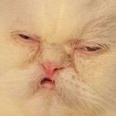 mikiriyuyu's profile picture. this seems like a bad idea...