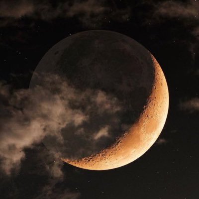 elkafini's profile picture. 