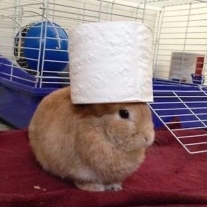 FMachin's profile picture. Un random que le gusta dibujar monas chinas encueradas