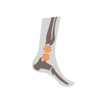 NextStep Robotics (@nextsteprobo) 's Twitter Profile