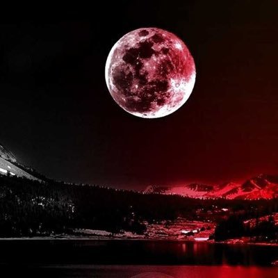 TshepoMolepo96's profile picture. Don't chase people chase dreams