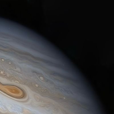 avlonf's profile picture. 